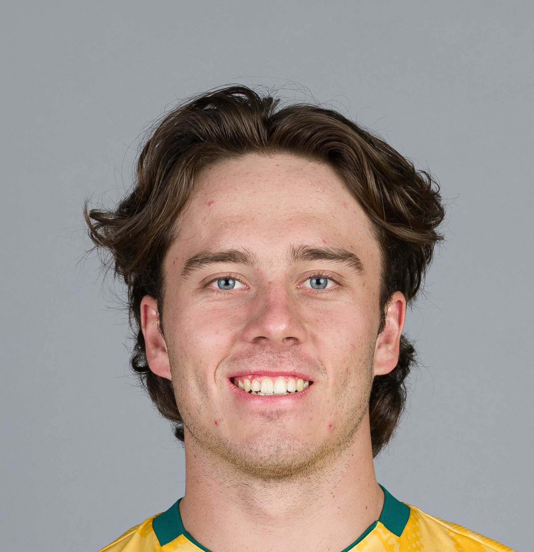 Dewald Brevis
