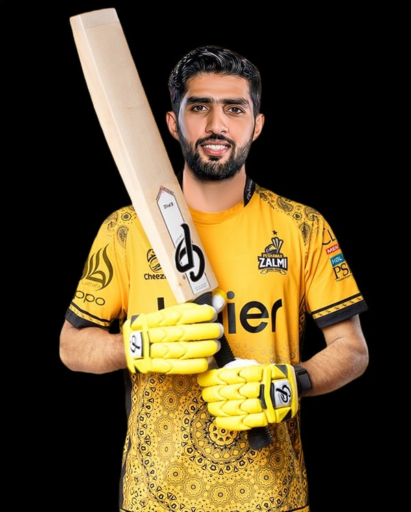 Salman Mirza
