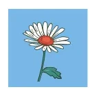 Yorkshire